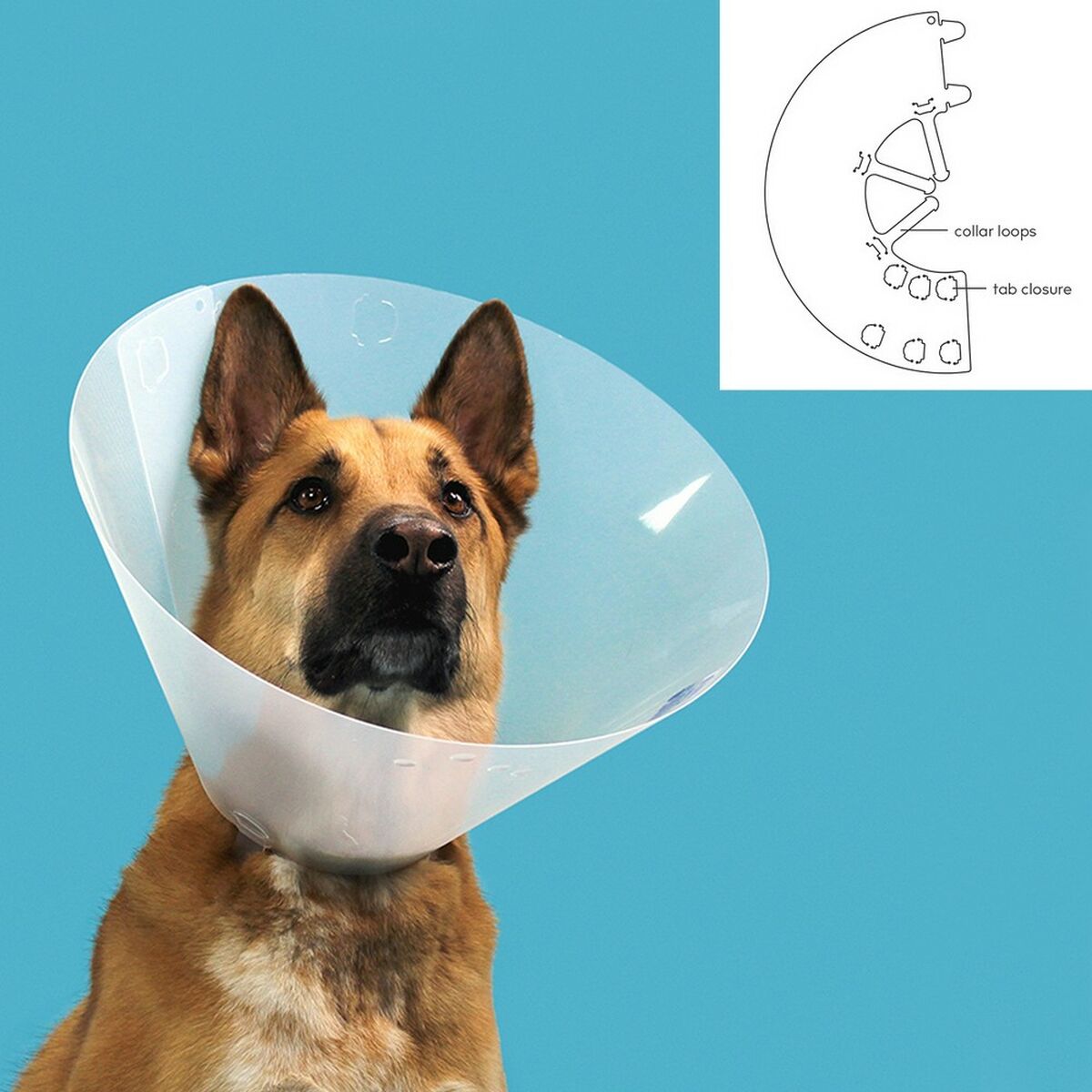 Collare elisabettiano per cani KVP Quick Fit Trasparente (33-40 cm) - Immagine 2