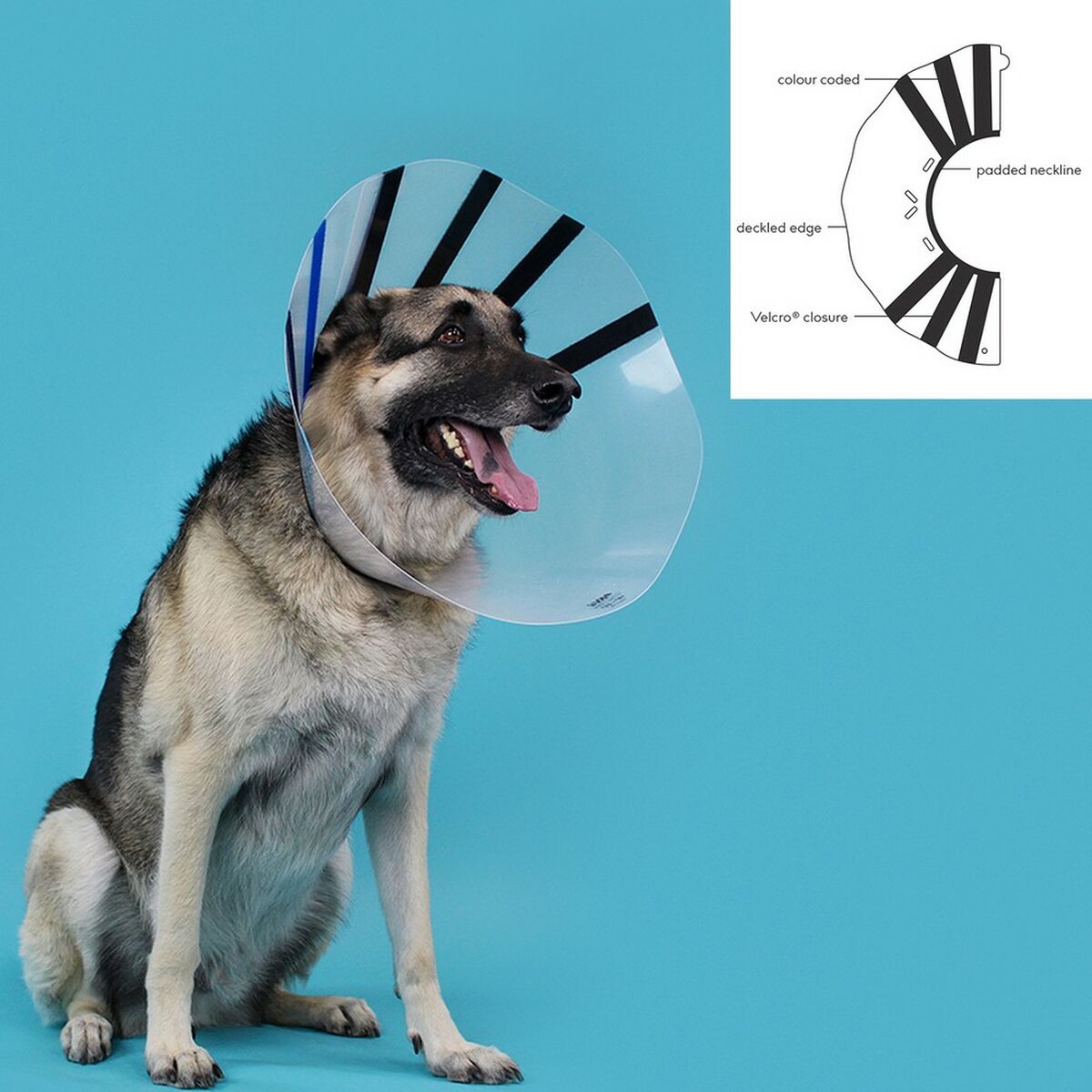 Collare elisabettiano per cani KVP EZ Clear (39-51 cm) - Immagine 3