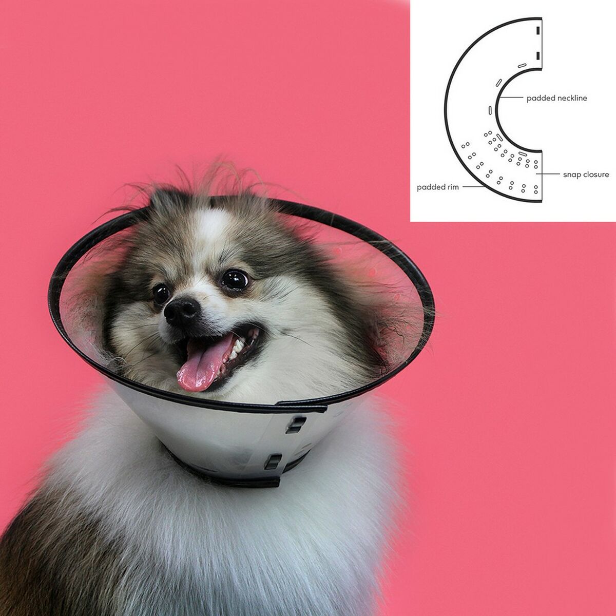 Collare elisabettiano per cani KVP Saf-T-Clear Trasparente (15-23 cm) - Immagine 3