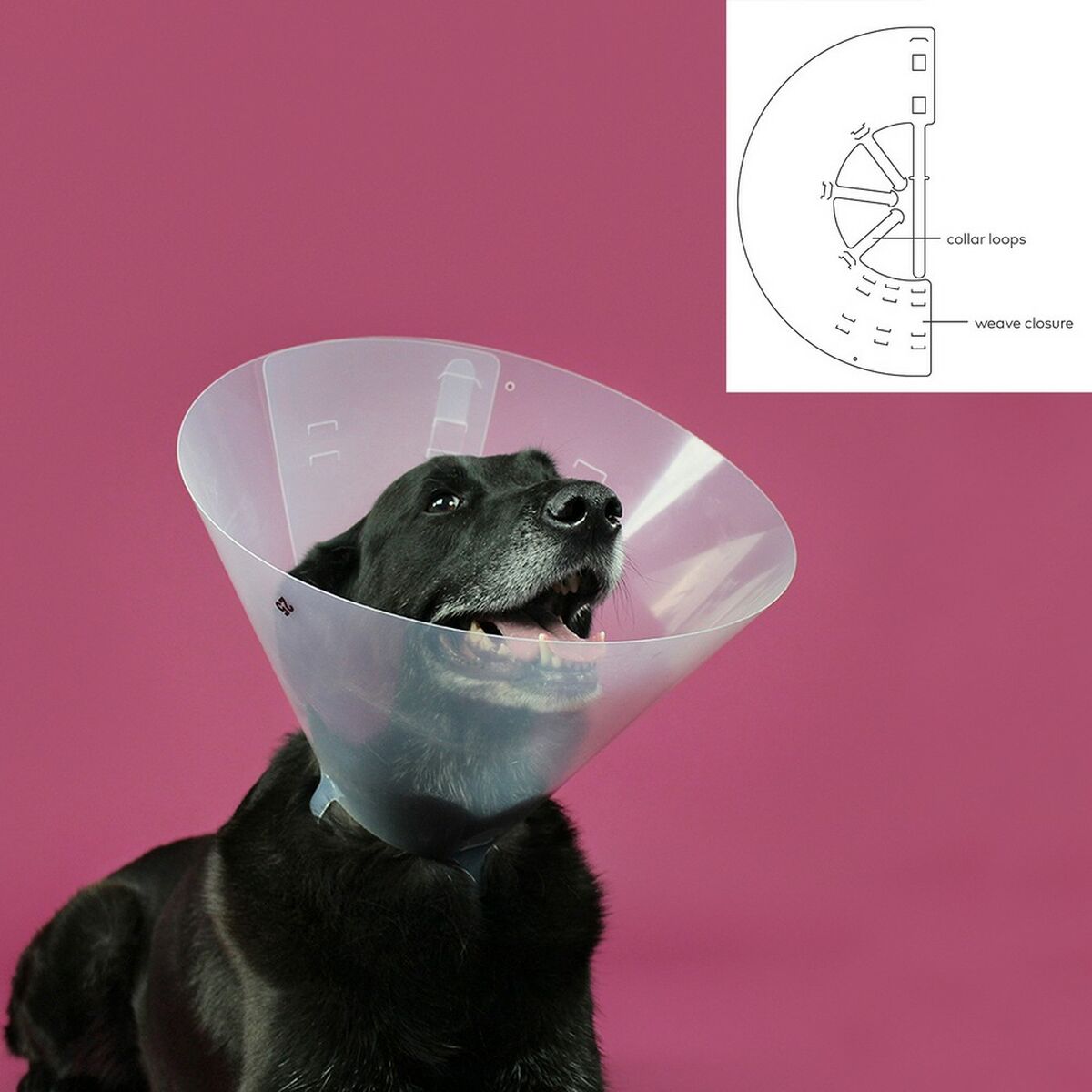 Collare elisabettiano per cani KVP Betsy Trasparente (39-48 cm) - Immagine 2