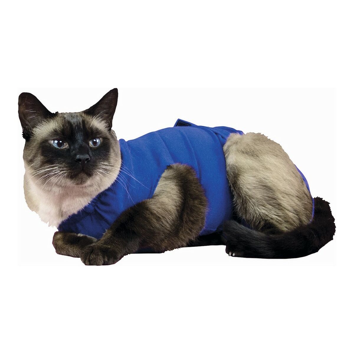 Maglia di Recupero per Animali KVP 25-29 cm Azzurro
