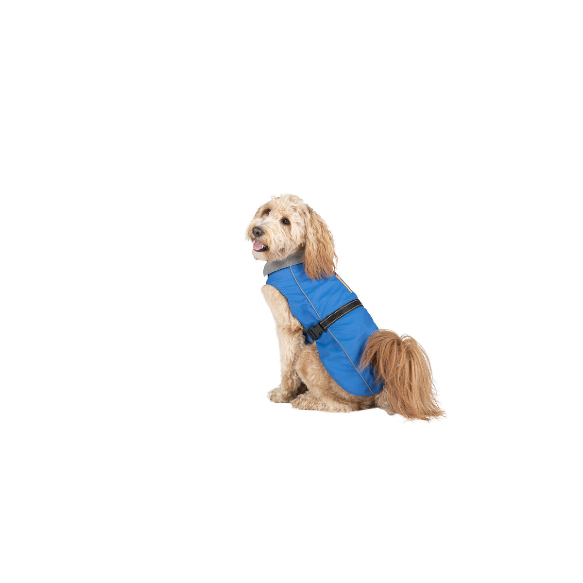 Impermeabile per Cani Dog Gone Smart Azzurro 55 cm - Immagine 2