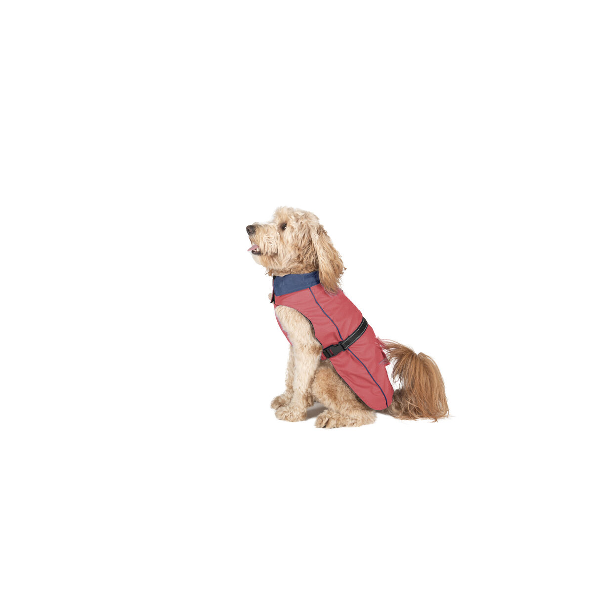 Impermeabile per Cani Dog Gone Smart Corallo 55 cm - Immagine 1