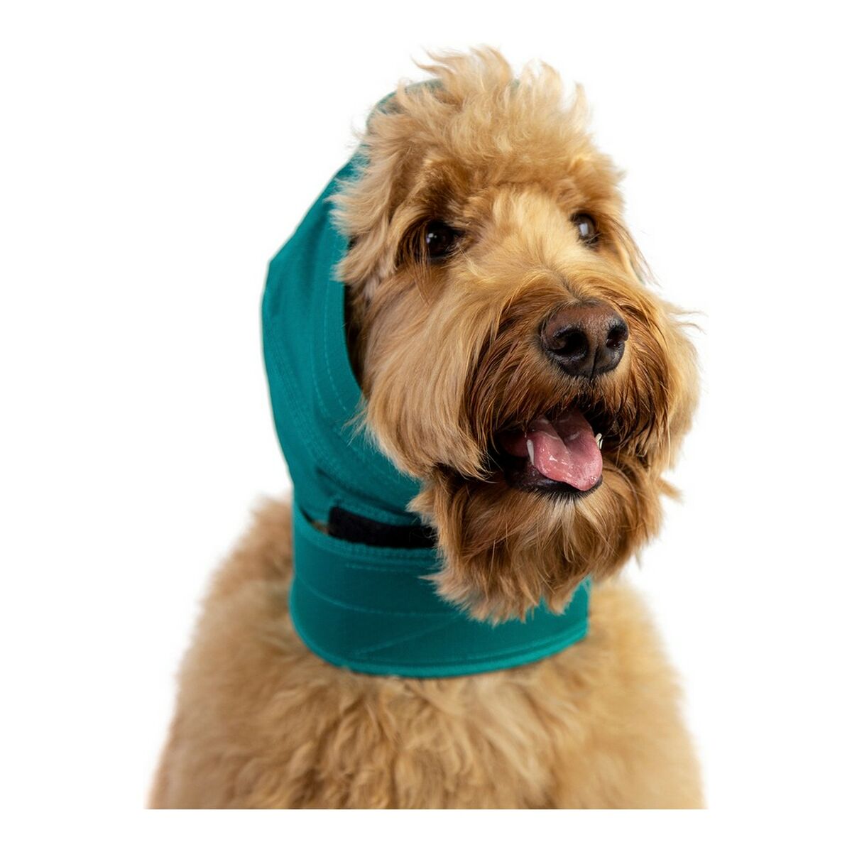 Protezione Orecchie per Cani KVP Verde S/M
