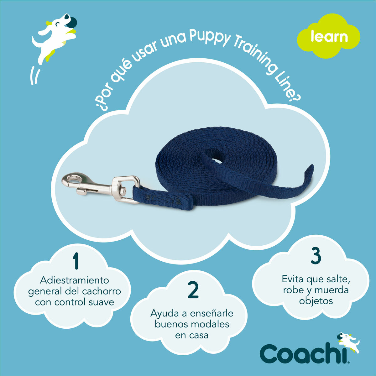 Guinzaglio per Cani Coachi Azzurro 2,5 m Allenamento - Immagine 3