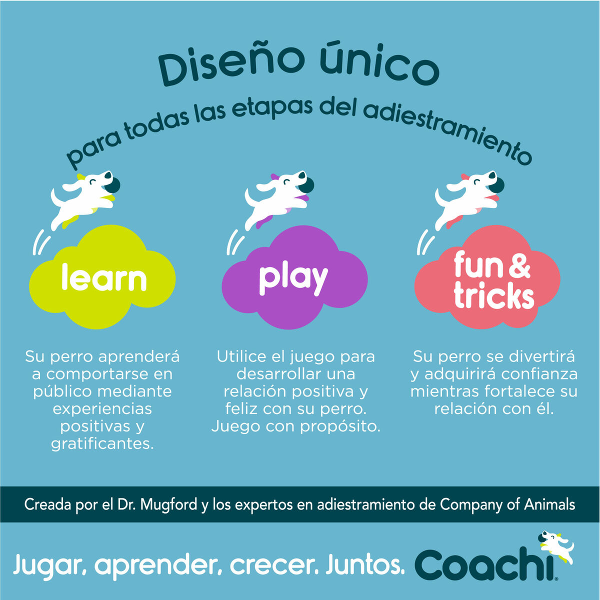 Guinzaglio per Cani Coachi Azzurro 2,5 m Allenamento - Immagine 5