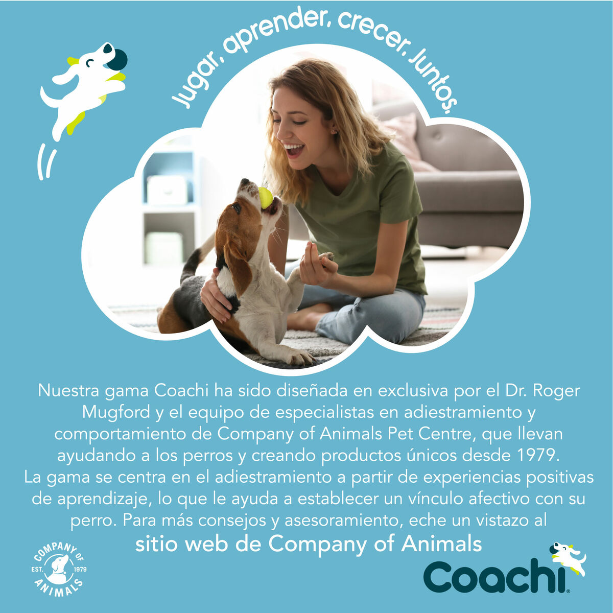 Guinzaglio per Cani Coachi Azzurro Allenamento - Immagine 6