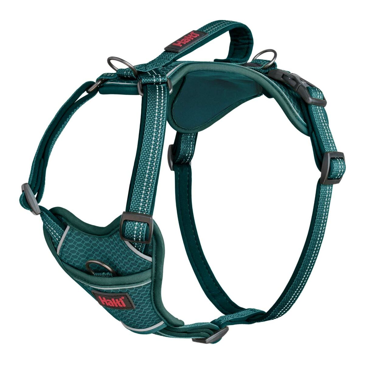 Imbracatura per Cani Company of Animals Turchese XS 20-32 cm