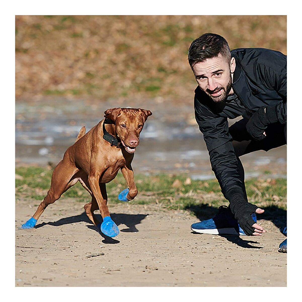 Stivali Pawz Cane 12 Unità Taglia XL Verde - Immagine 4