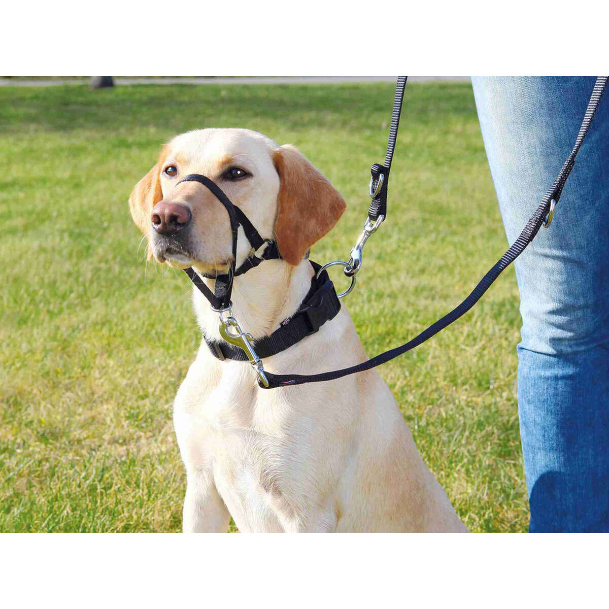 Imbracatura guida per cane Trixie Top Trainer Nero XL - Immagine 3