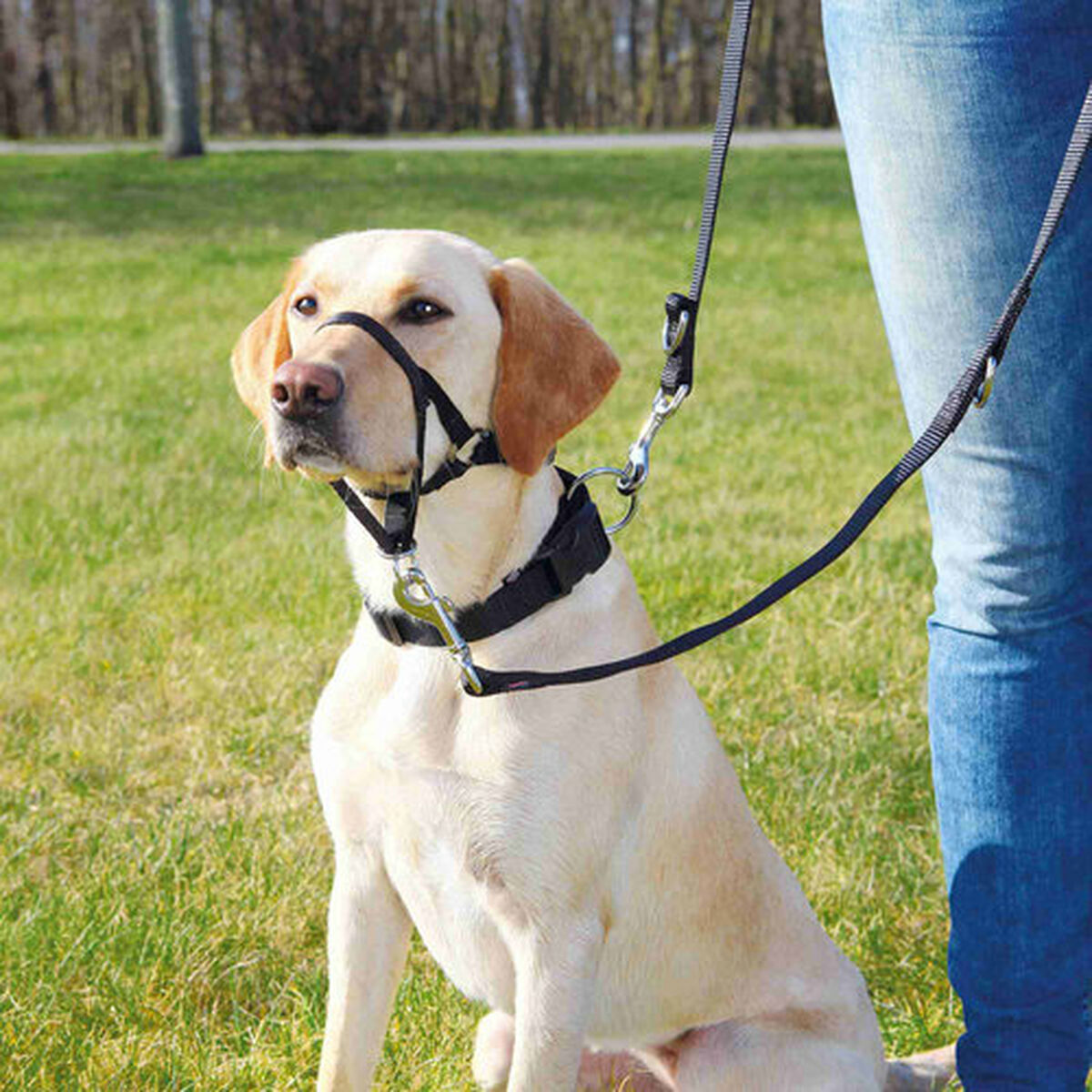 Imbracatura guida per cane Trixie Top Trainer Nero XL - Immagine 4