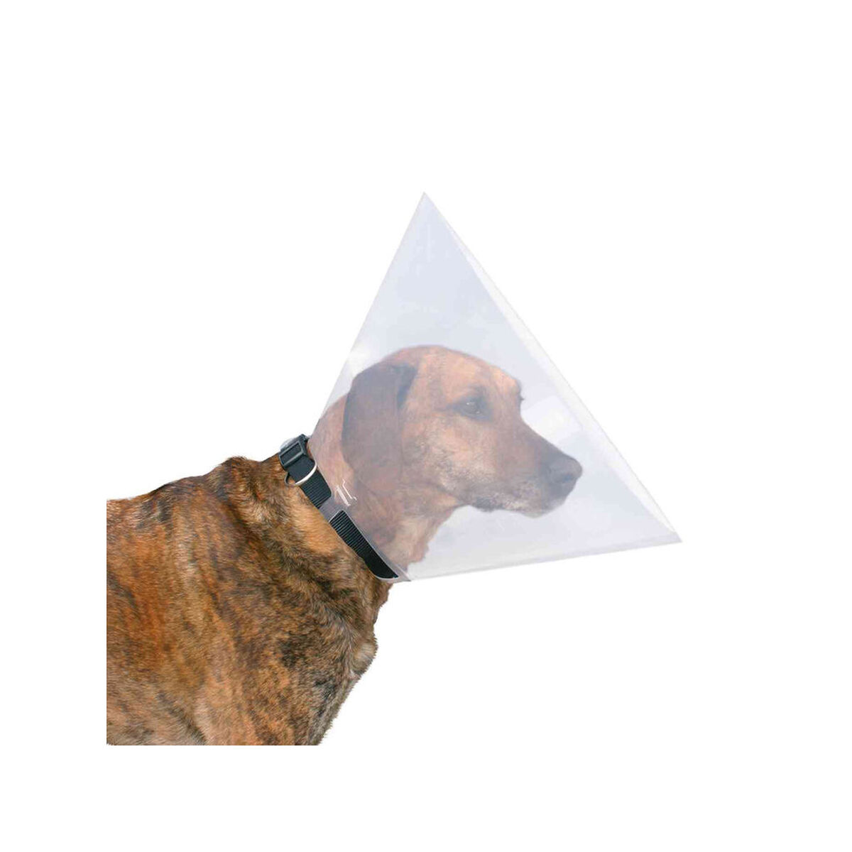 Collare elisabettiano per cani Trixie (31-38 cm) - Immagine 3