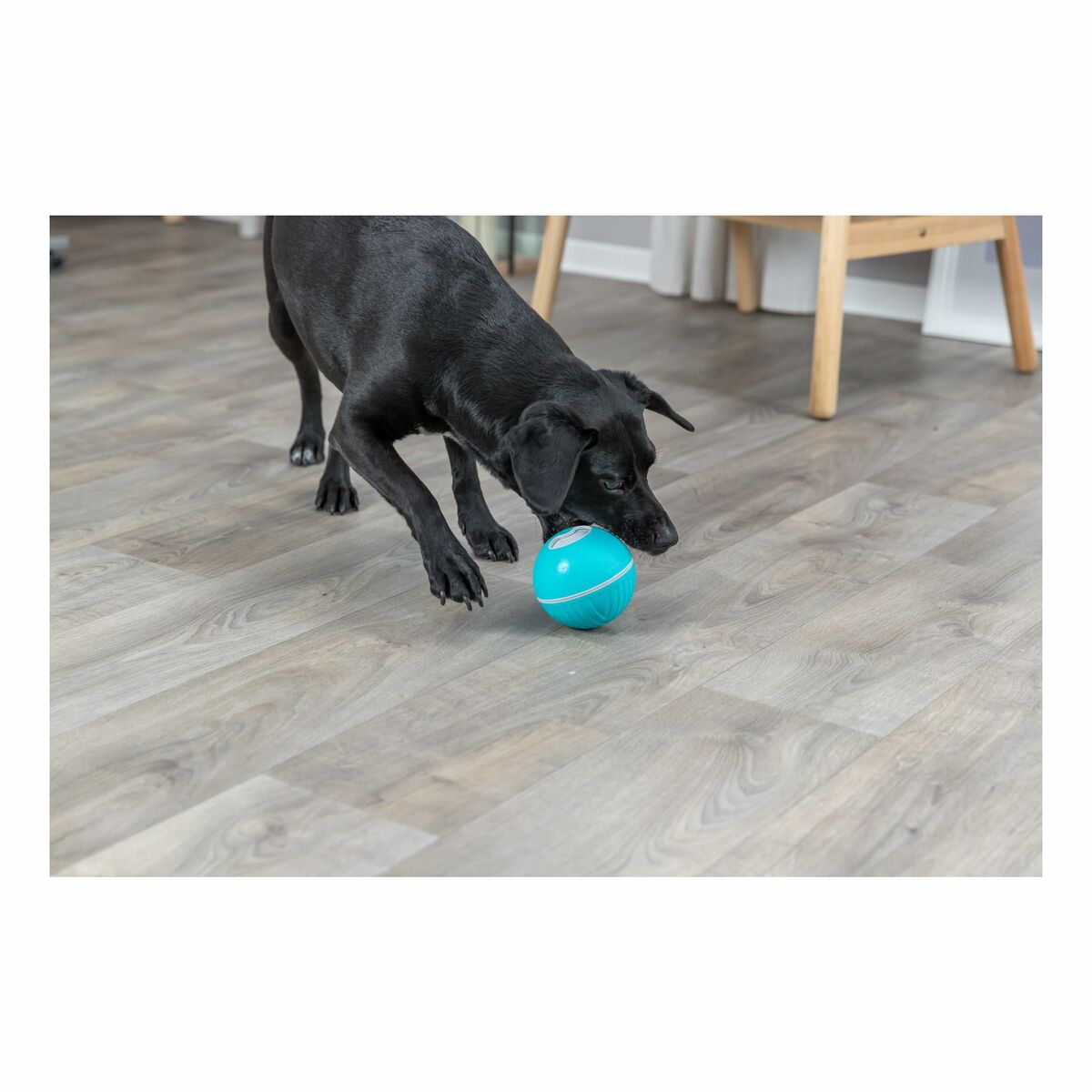 Giocattoli per cani Trixie Azzurro Caucciù Plastica TPR Ø 7,5 cm Snacks - Immagine 4
