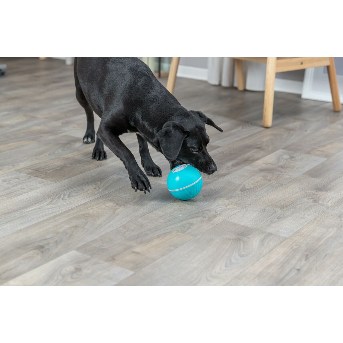 Giocattoli per cani Trixie Azzurro Caucciù Plastica TPR Ø 14 cm Snacks - Immagine 2