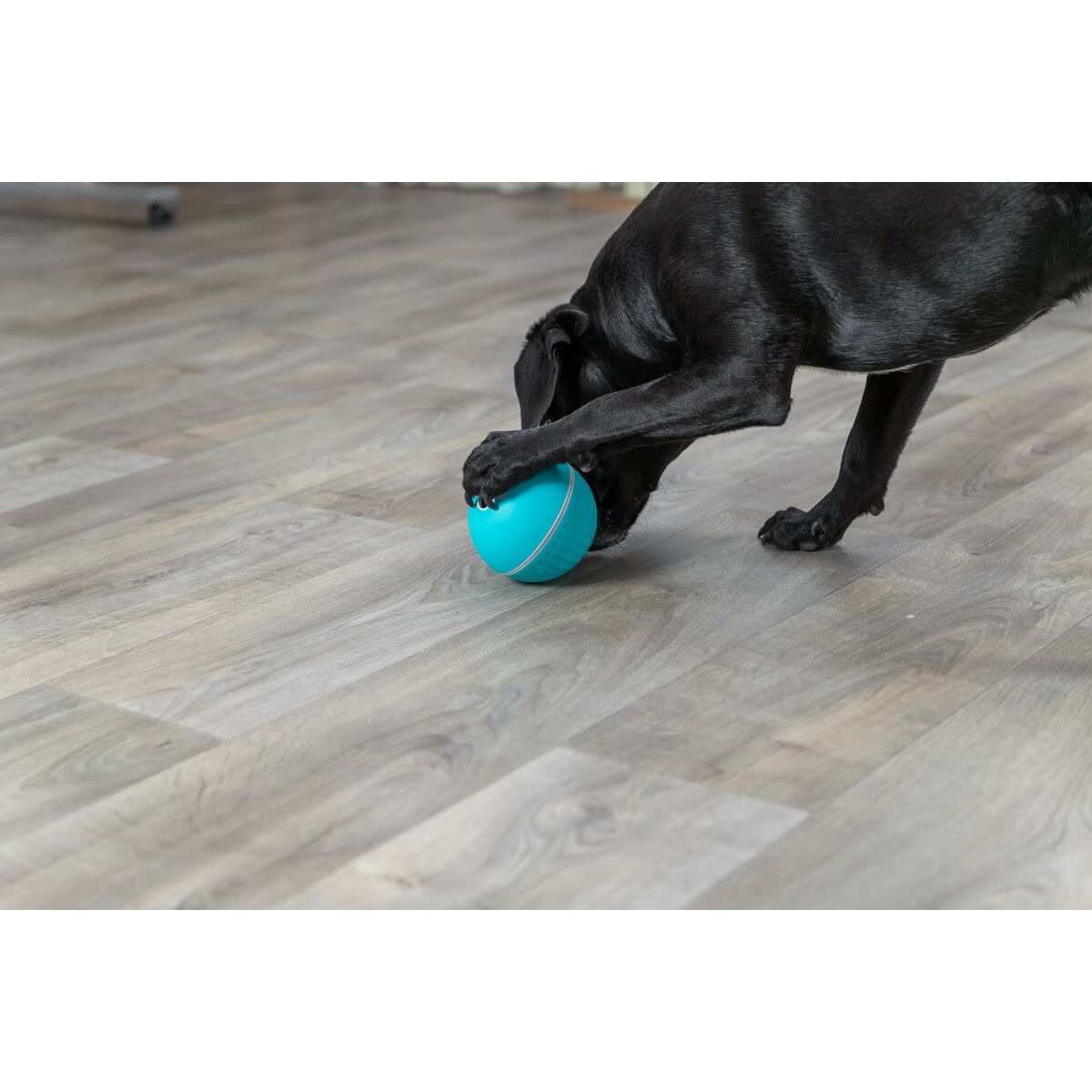 Giocattoli per cani Trixie Azzurro Caucciù Plastica TPR Ø 14 cm Snacks - Immagine 3