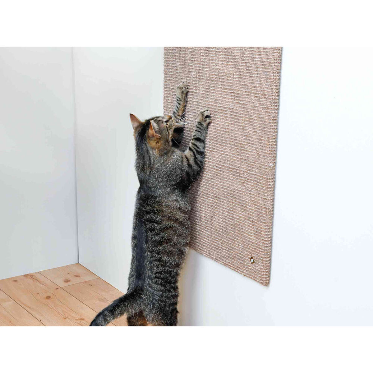 Tiragraffi per Gatti XXL Trixie Marrone - Immagine 2