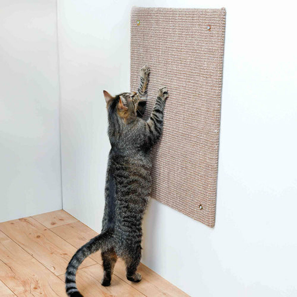 Tiragraffi per Gatti XXL Trixie Marrone - Immagine 3