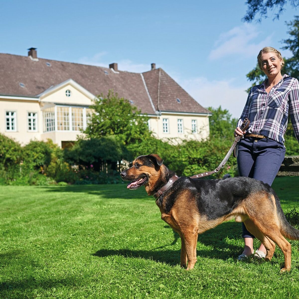 Collare per Cani Hunter Swiss Negro, marrón (24-28.5 cm) - Immagine 3