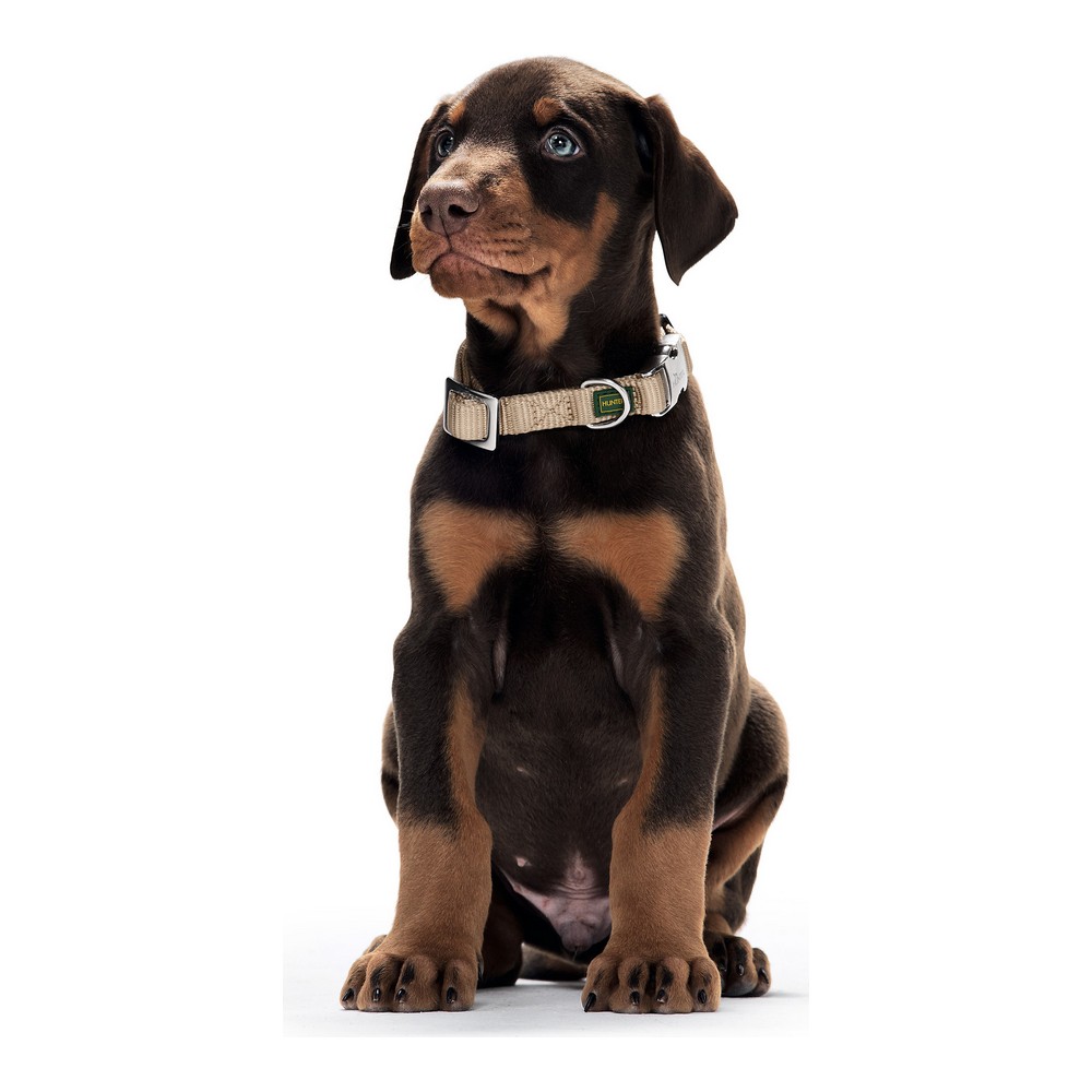 Collare per Cani Hunter Alu-Strong Nero Taglia M (40-55 cm) - Immagine 3