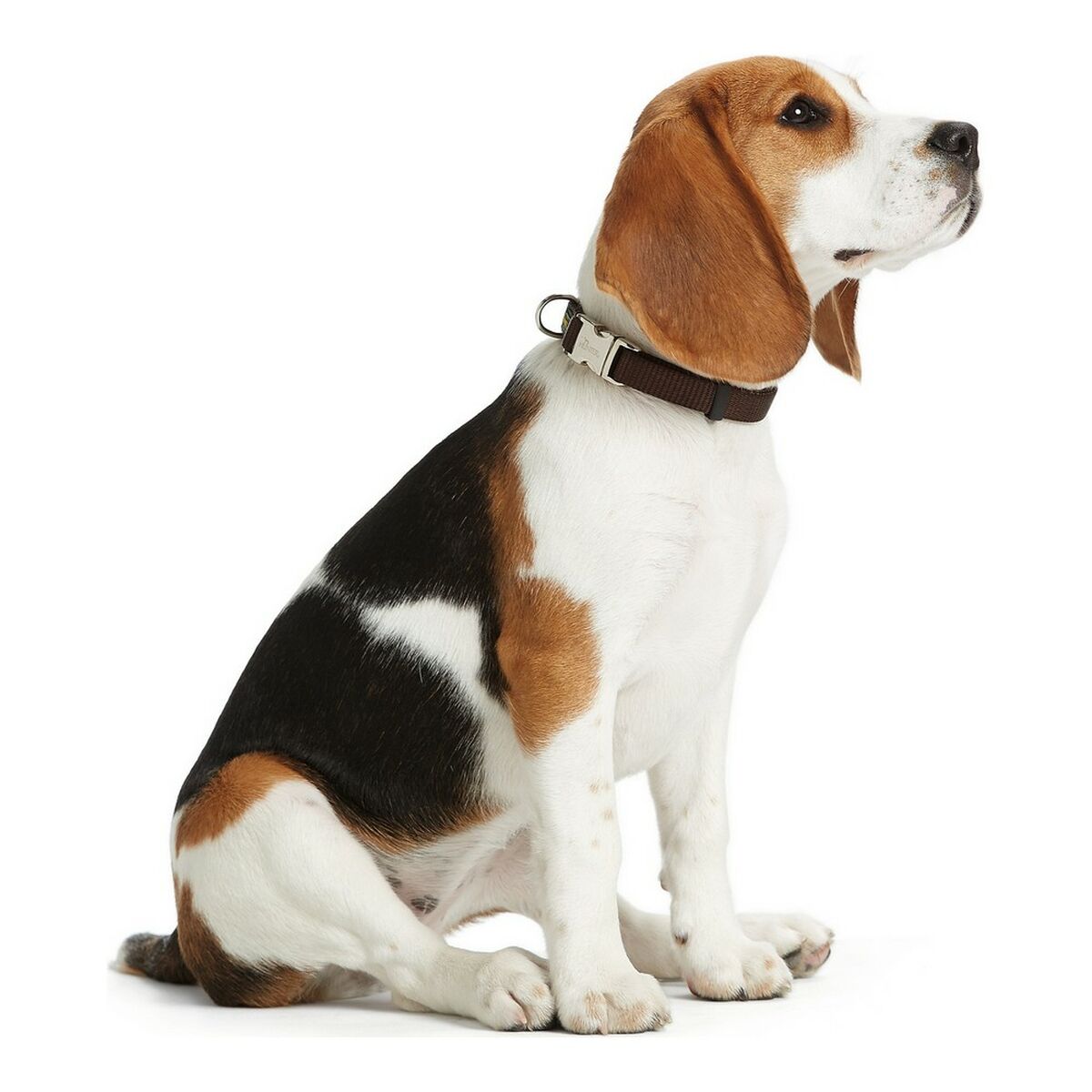 Collare per Cani Hunter Alu-Strong Grigio Taglia M (40-55 cm) - Immagine 3