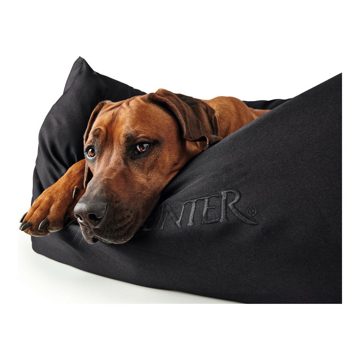 Divano per cani Hunter Gent Nero Poliestere black (60 x 45 cm) - Immagine 6