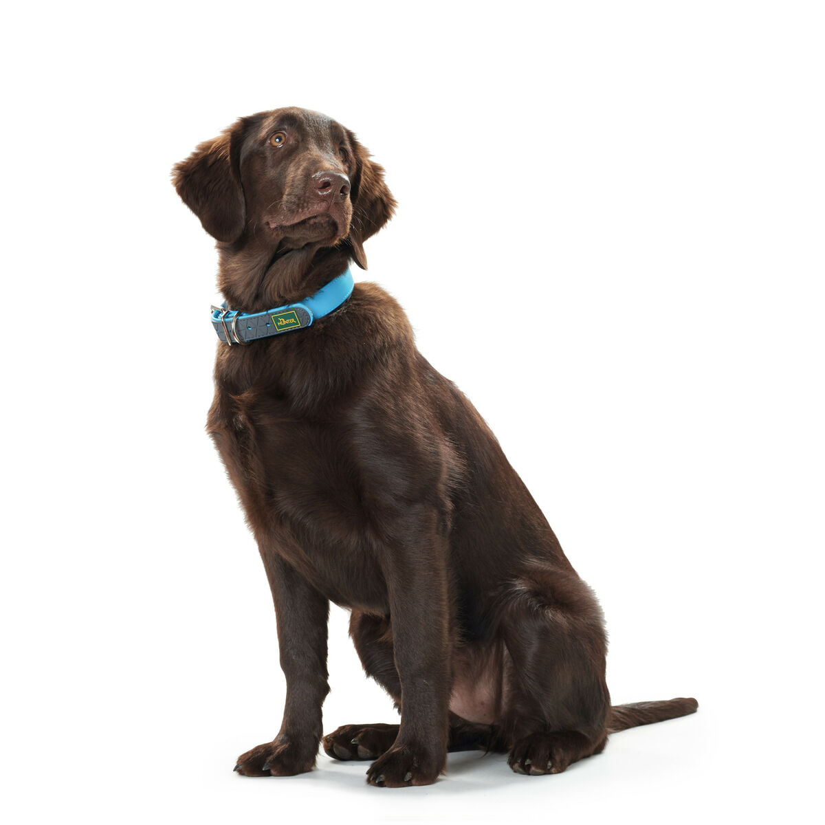 Collare per Cani Hunter Convenience 53-61 cm L/XL Turchese - Immagine 2