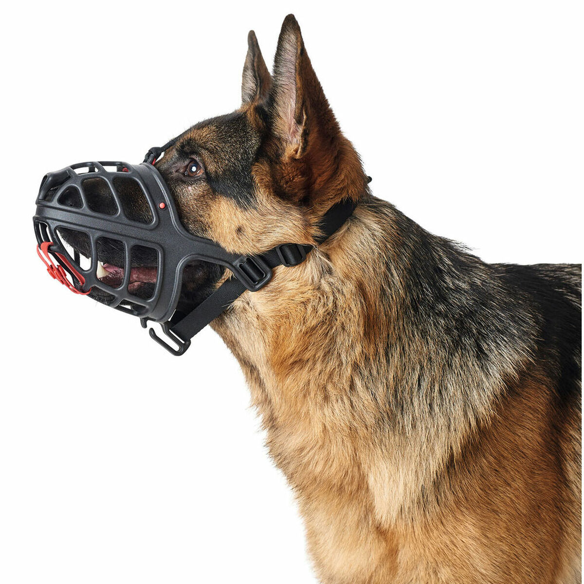 Museruola Hunter Albury Nero Taglia 1 (45 cm) (21 cm) (5 cm) - Immagine 5