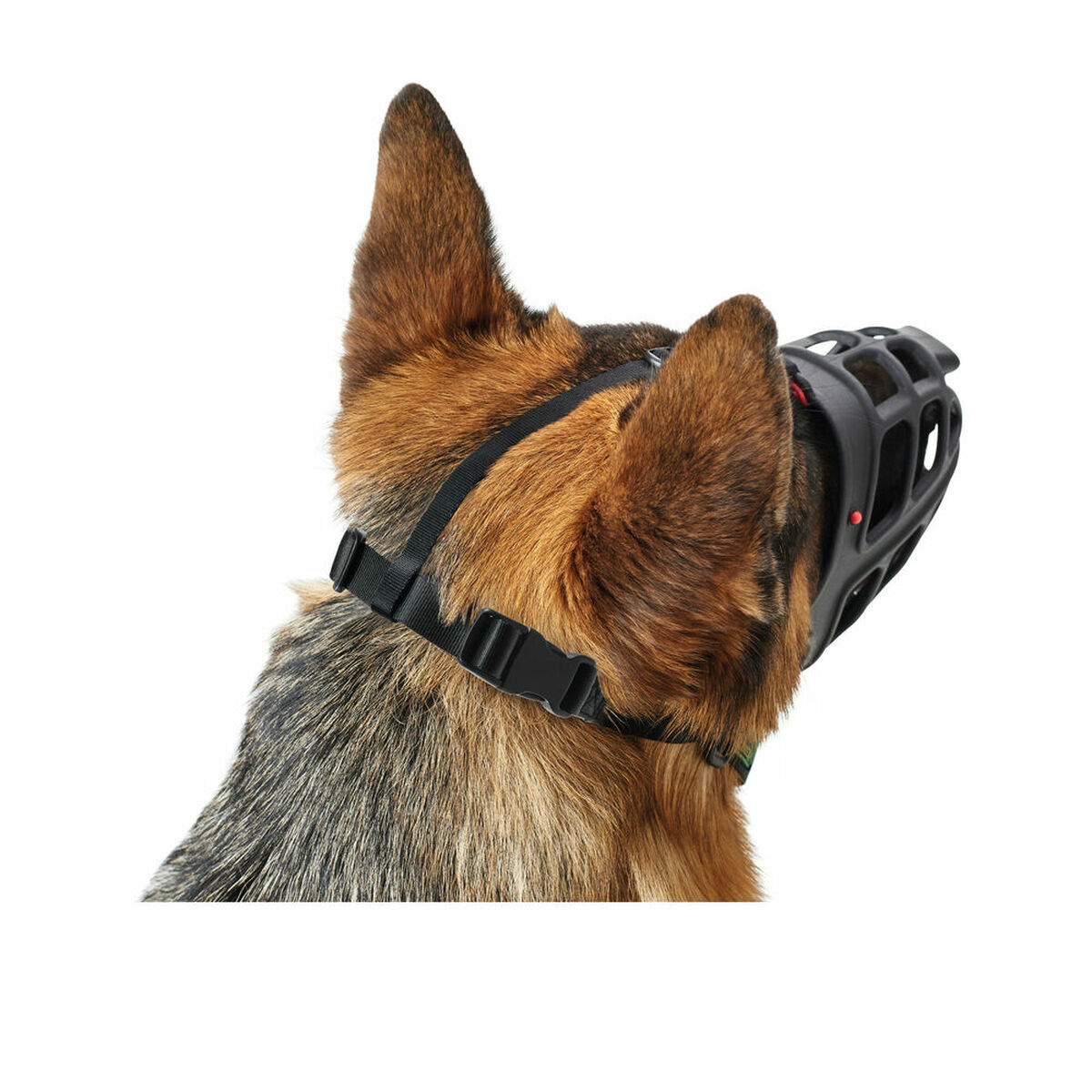 Museruola Hunter Albury Nero Taglia 6 (43 cm) (85 cm) (10 cm) - Immagine 4