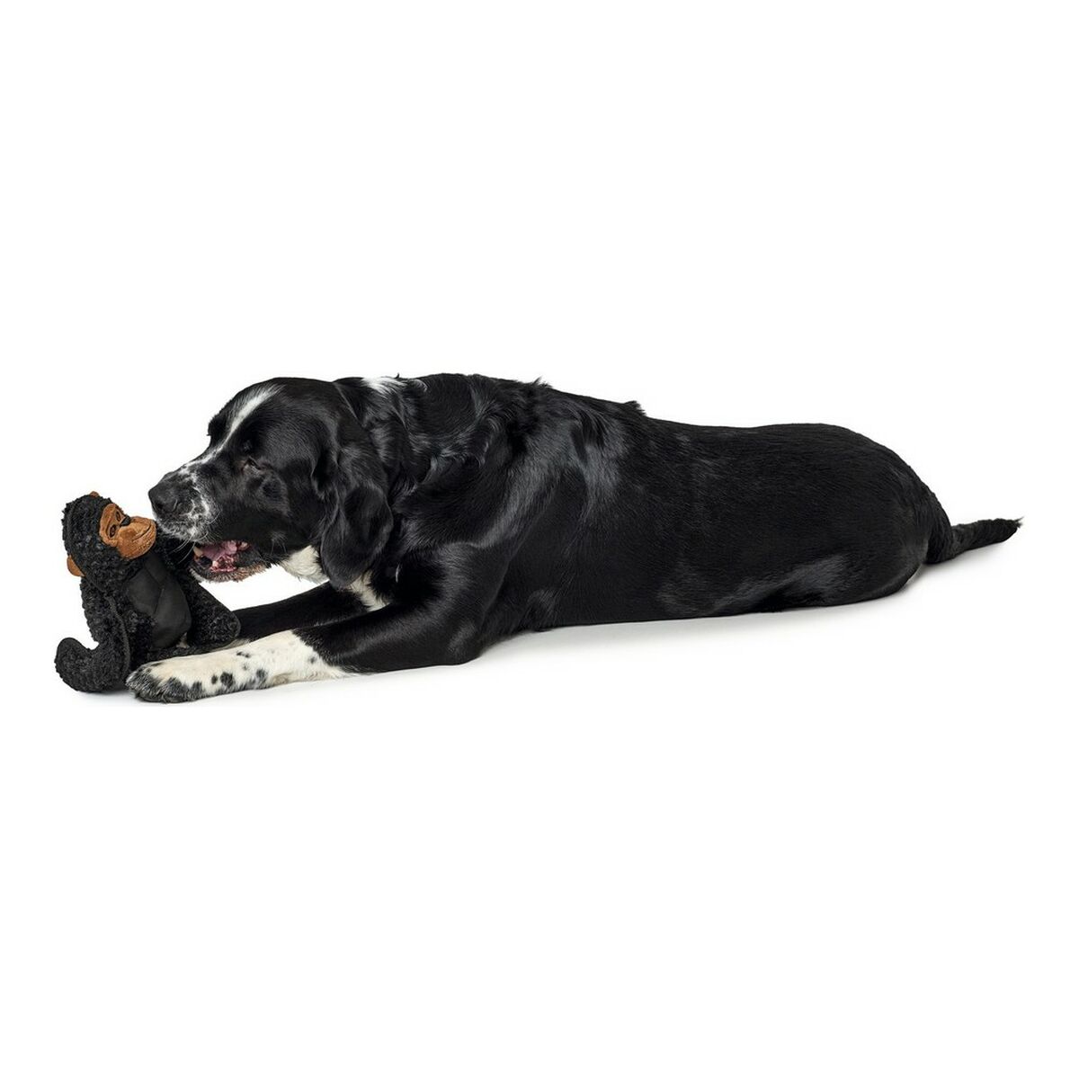 Peluche per cani Hunter Tough Kamerun Gorilla (29 cm) - Immagine 2