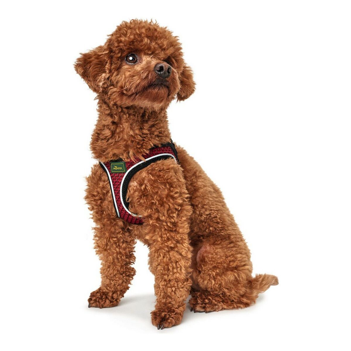 Imbracatura per Cani Hunter Hilo-Comfort Rosso Taglia S/M (48-55 cm) - Immagine 2