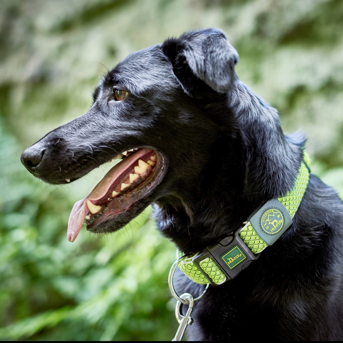 Collare per Cani Hunter Vario Plus Fili Taglia L Lime (40-60 cm) - Immagine 3