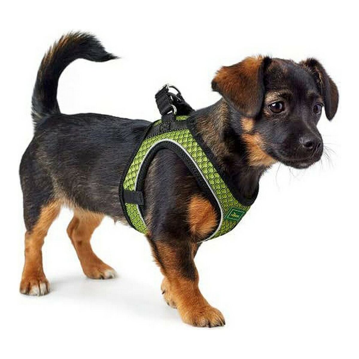 Imbracatura per Cani Hunter Hilo-Comfort Taglia S Lime (42-48 cm) - Immagine 2