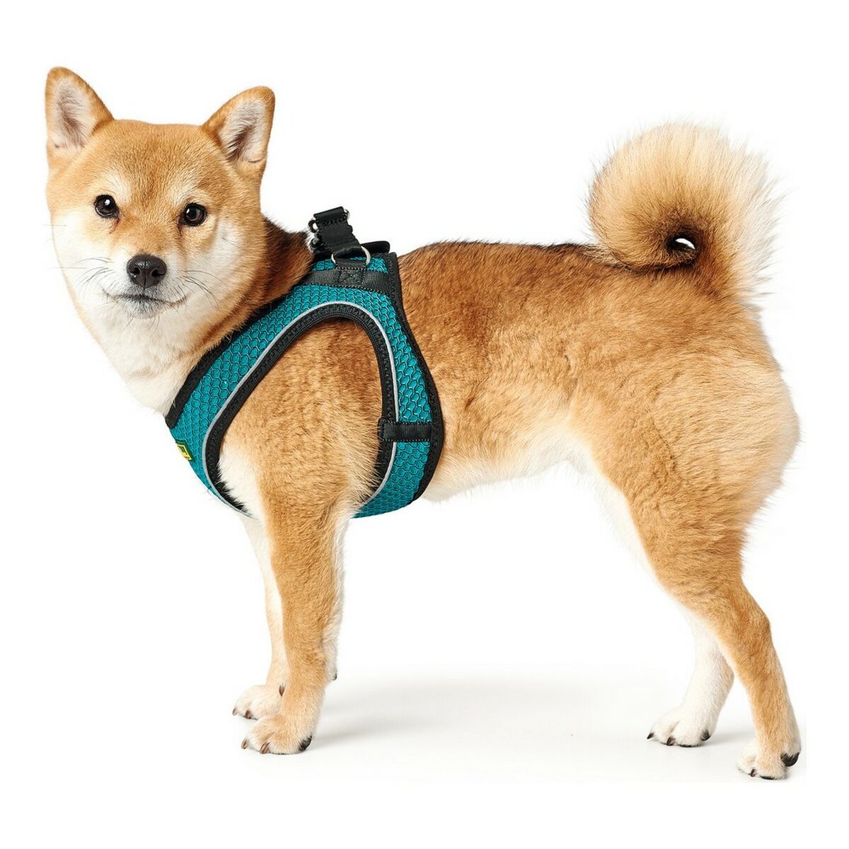 Imbracatura per Cani Hunter Hilo-Comfort Turchese Taglia XS (35-37 cm) - Immagine 2