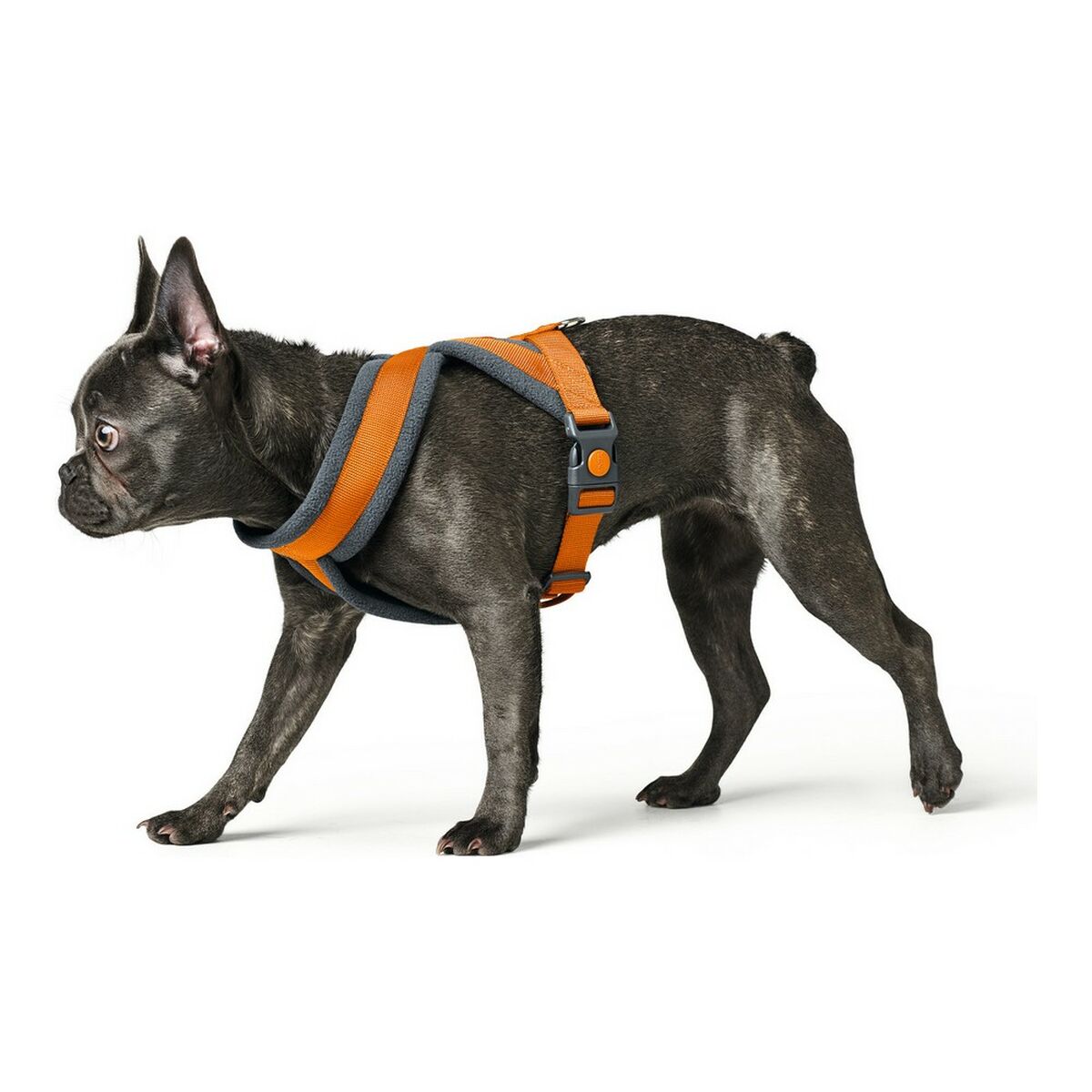 Imbracatura per Cani Hunter London Comfort 48-56 cm Arancio Taglia S/M - Immagine 3