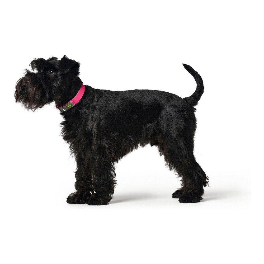 Collare per Cani Hunter Covenience XS-S Rosa (23-31 cm) - Immagine 3