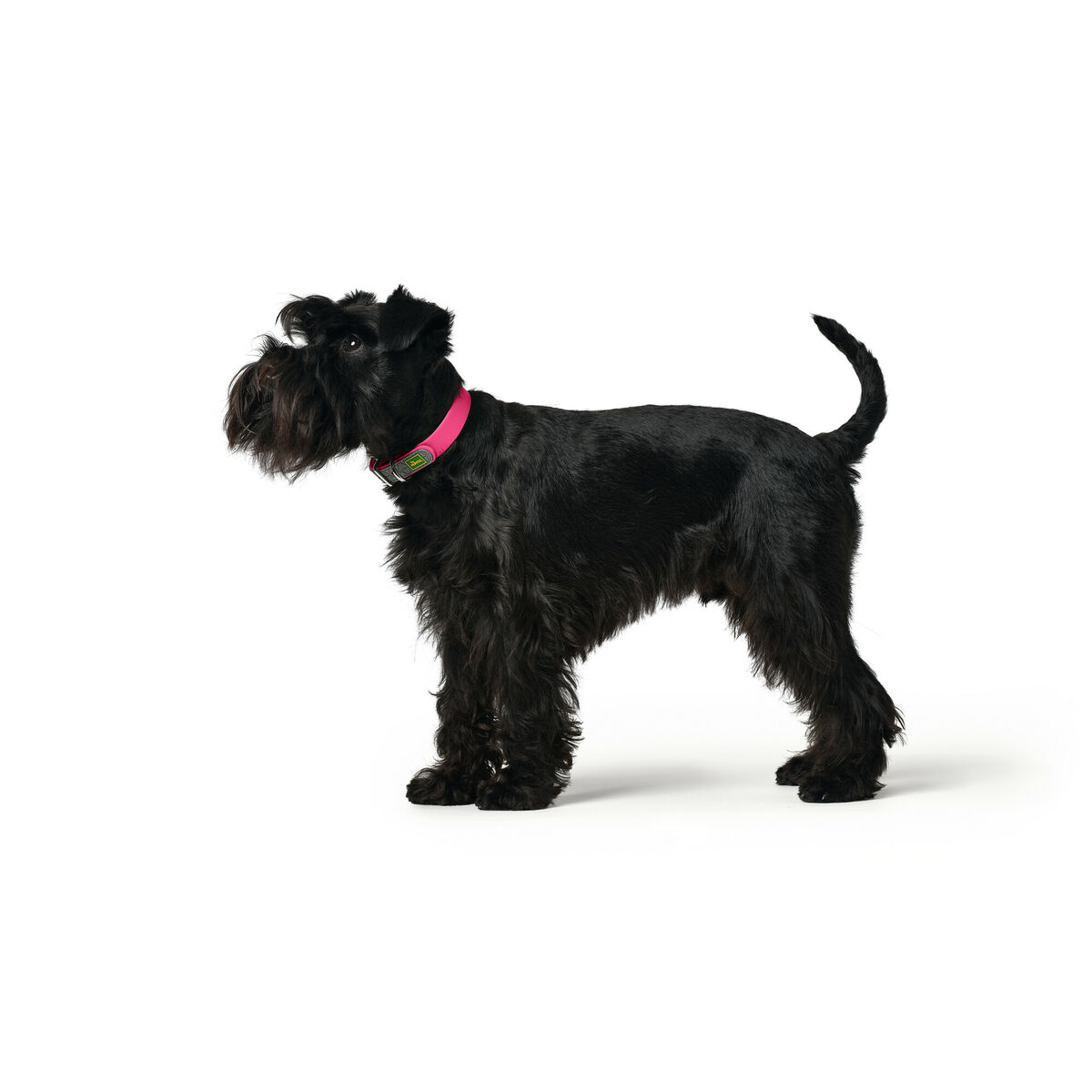 Collare per Cani Hunter Convenience 47-55 cm Fucsia L - Immagine 3