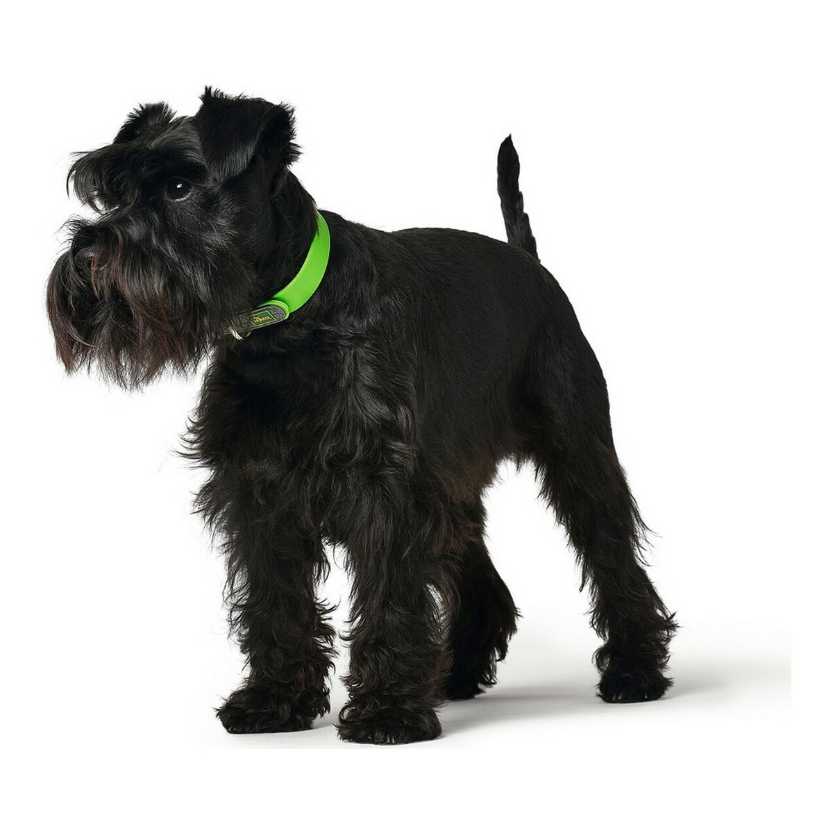 Collare per Cani Hunter Convenience Verde Taglia S/M (33-41 cm) - Immagine 3