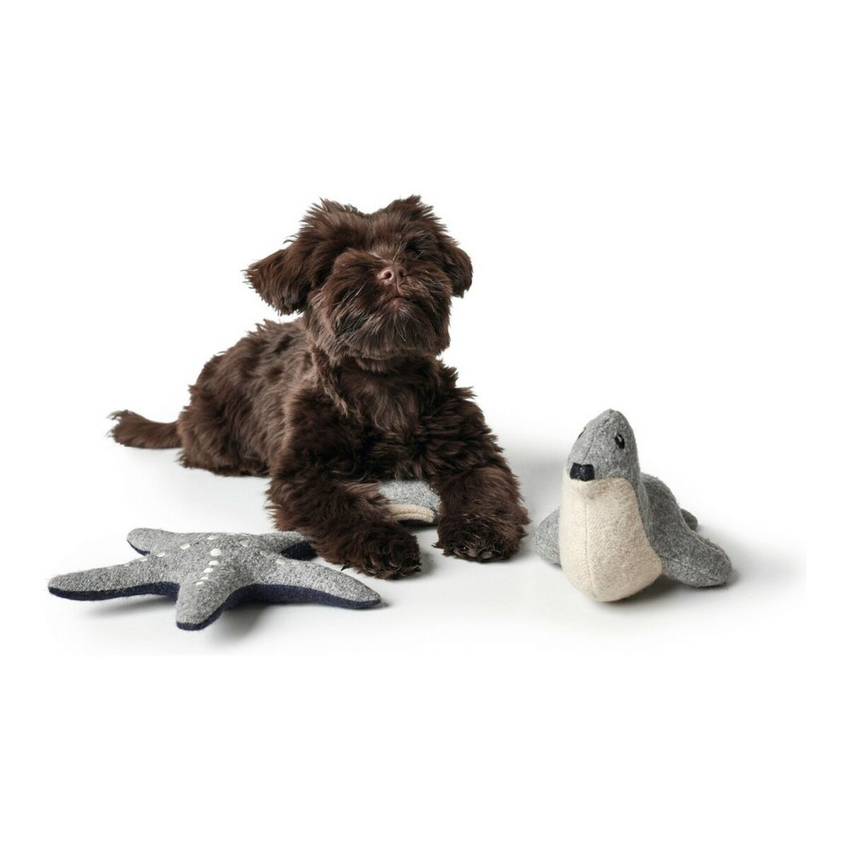 Peluche per cani Hunter Skagen Grigio Blu scuro Poliestere Stella - Immagine 3