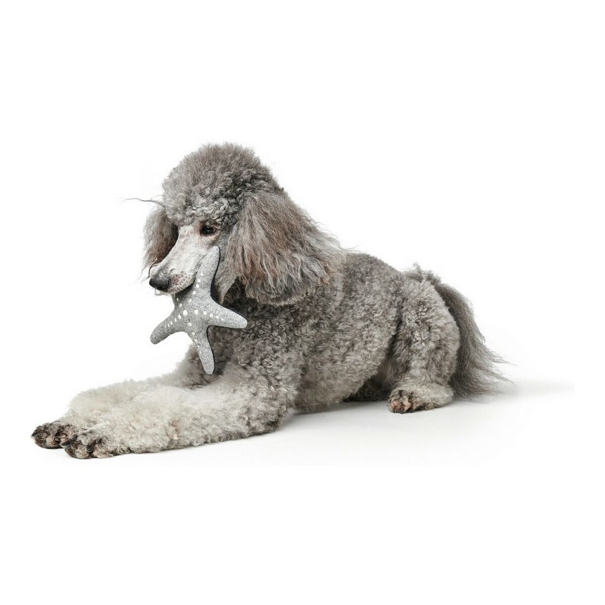 Peluche per cani Hunter Skagen Grigio Blu scuro Poliestere Stella - Immagine 4