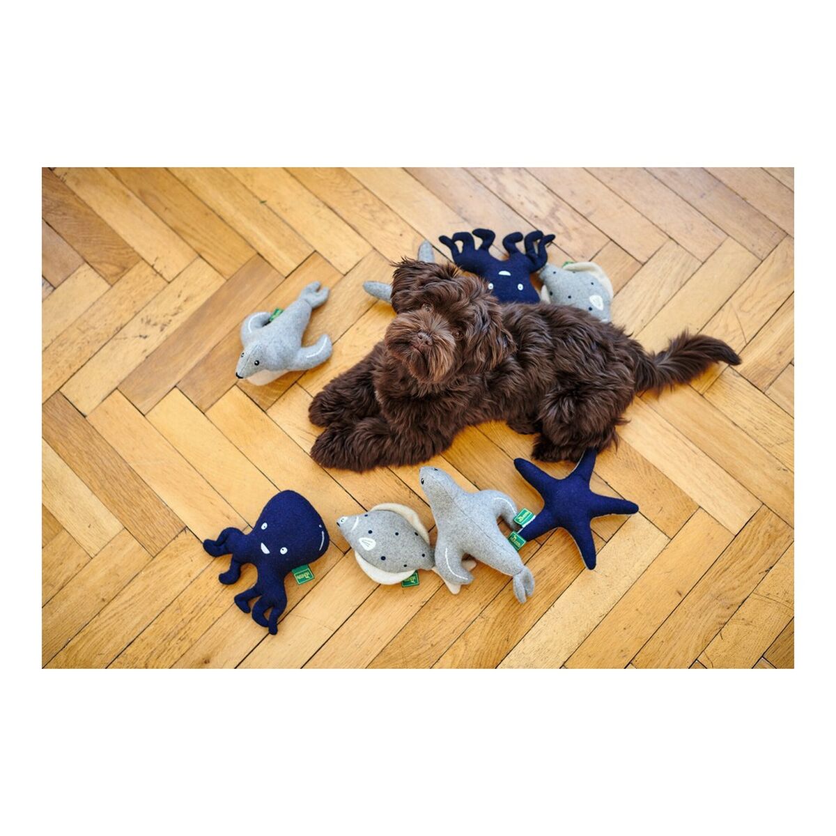 Peluche per cani Hunter Skagen Grigio Blu scuro Poliestere Stella - Immagine 6