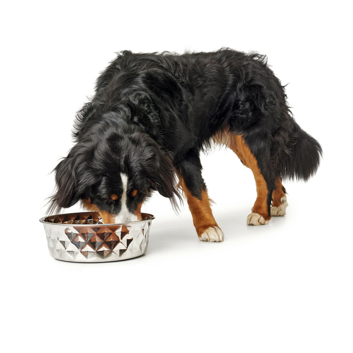 Ciotola per cani Hunter Silicone Acciaio inossidabile 1,75 L - Immagine 3