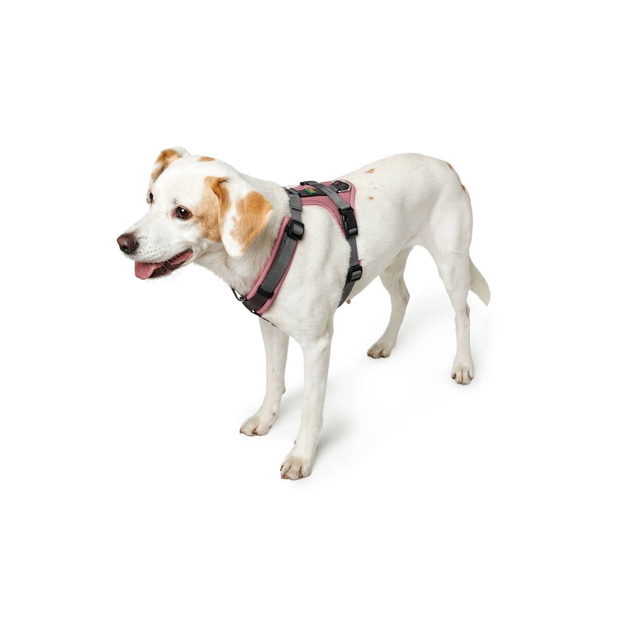 Imbracatura per Cani Hunter Maldon Up Rosa 66-118 cm - Immagine 3