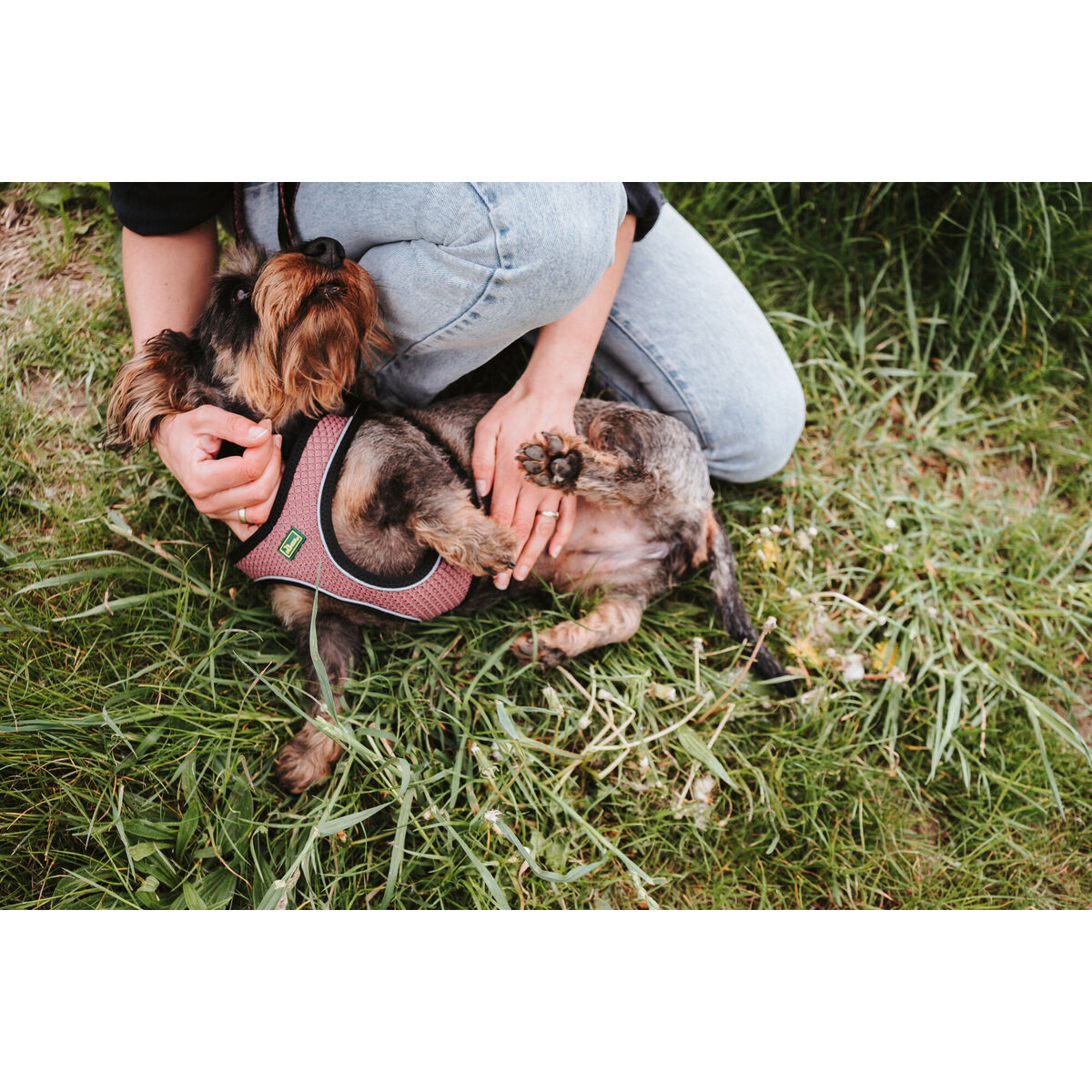 Imbracatura per Cani Hunter Comfort Rosa XXS 26-30 cm - Immagine 4