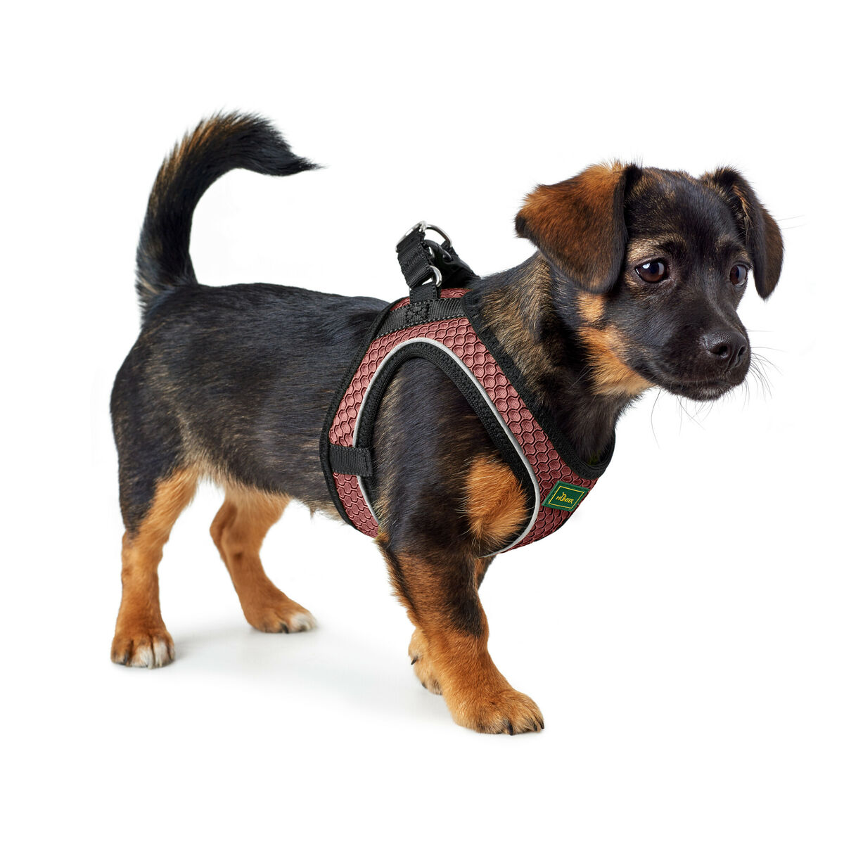 Imbracatura per Cani Hunter Comfort Rosa XXS 26-30 cm - Immagine 6