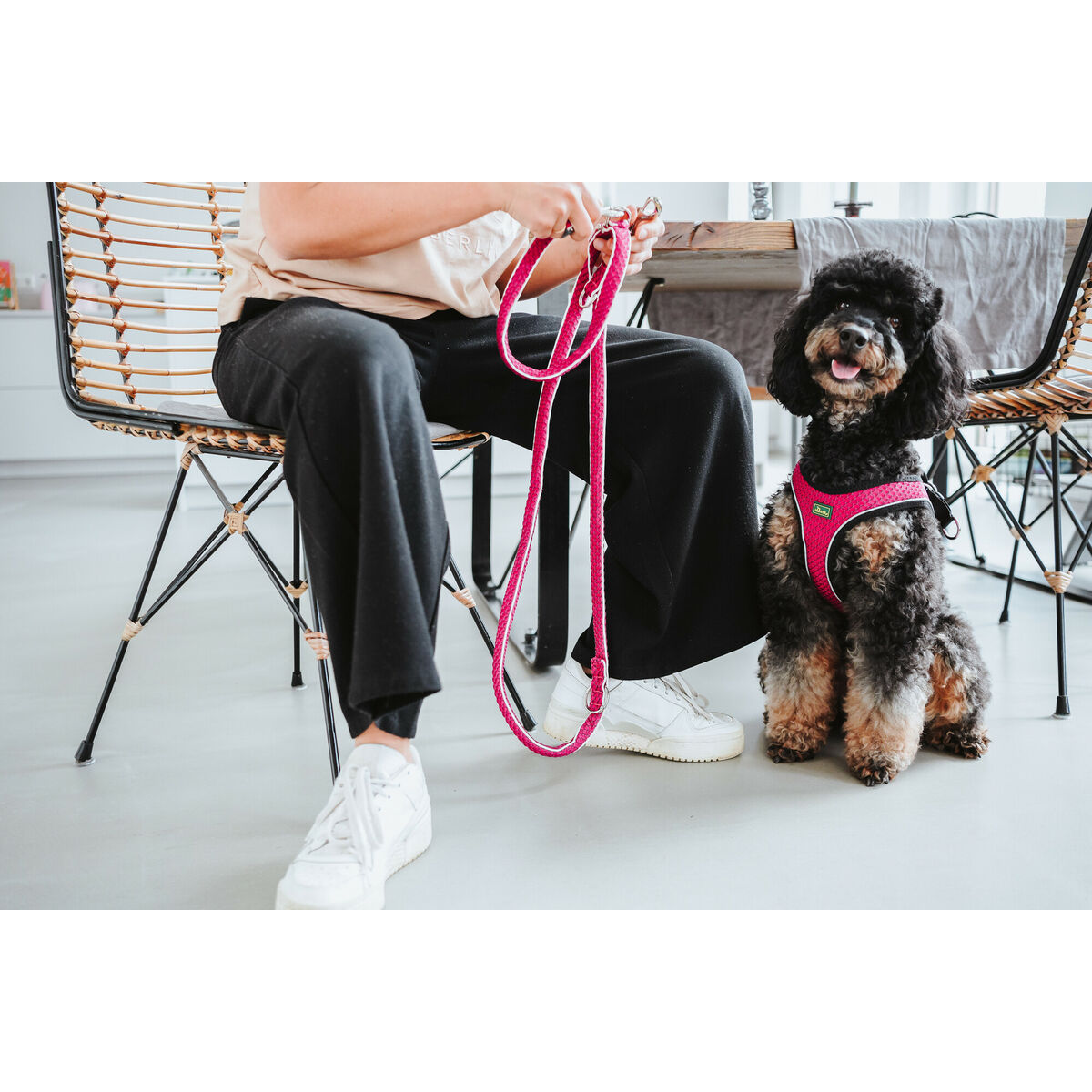Imbracatura per Cani Hunter Comfort Fucsia M 55-60 cm - Immagine 2