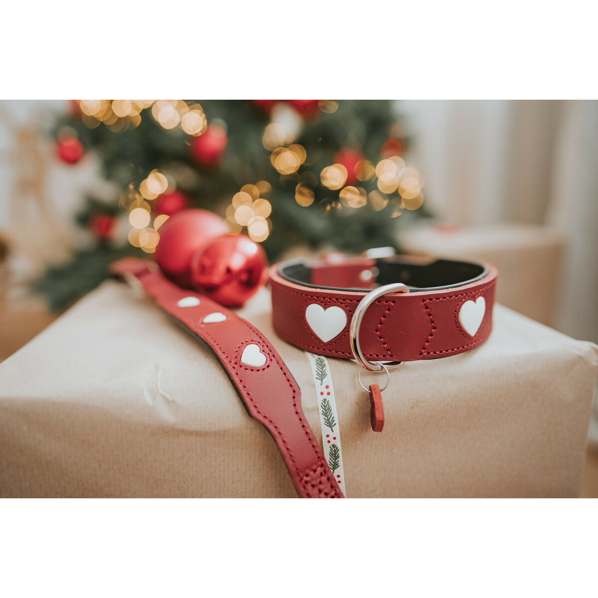 Collare per Cani Hunter Love XS/S 30-34 cm Rojo/Blanco - Immagine 2