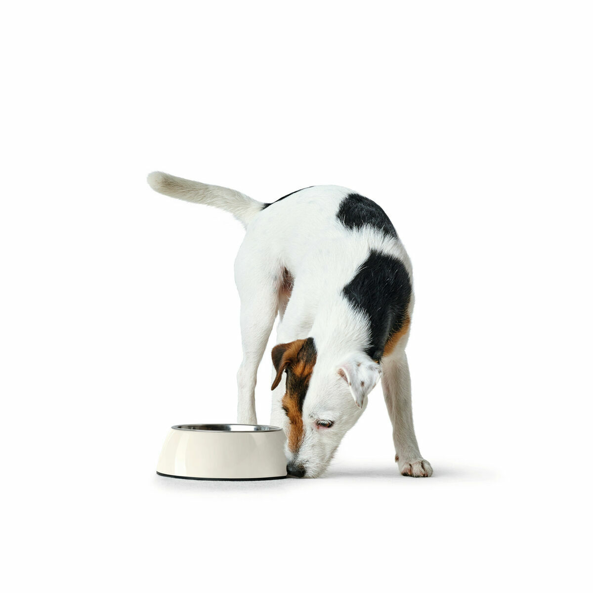 Ciotola per cani Hunter Nero 1,4 L Melammina - Immagine 2