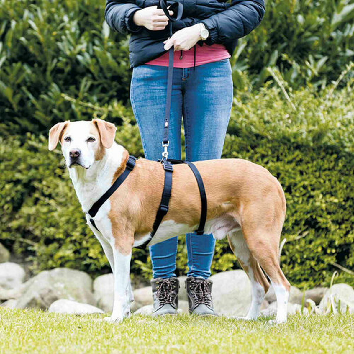 Imbracatura guida per cane Trixie Stay Nero XS/S - Immagine 4