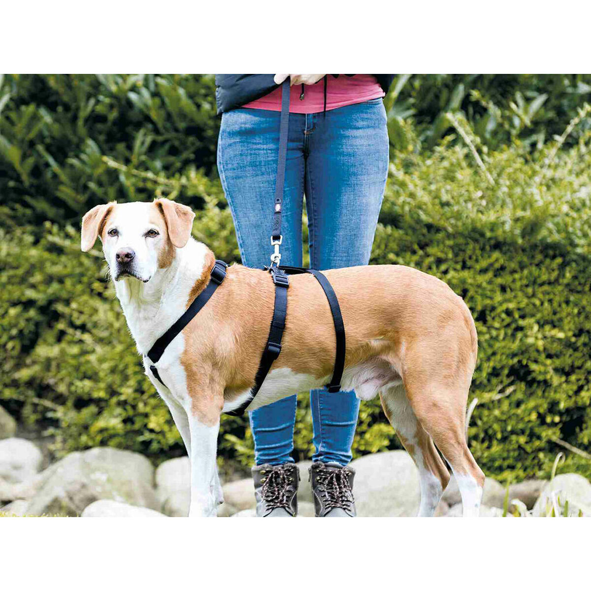 Imbracatura guida per cane Trixie Stay Nero M/L - Immagine 3
