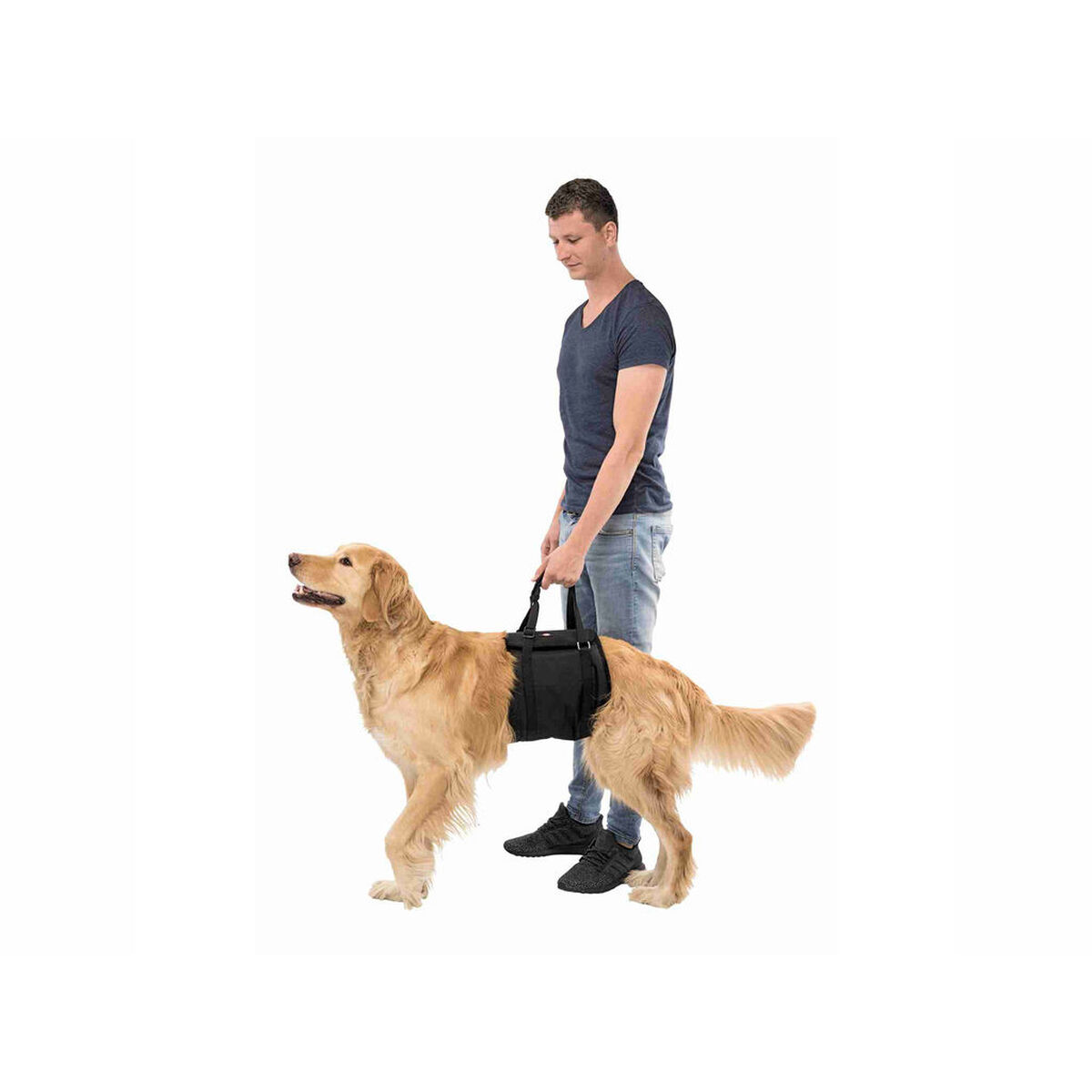 Dog sitter Trixie - Immagine 3